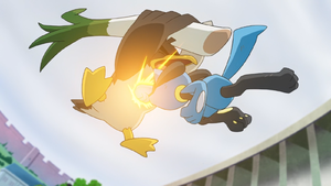 Riolu Contre.png