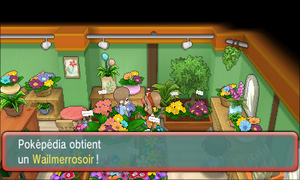 Route 104 Wailmerrosoir ROSA.png