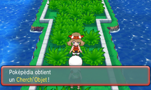 Route 110 Cherch'Objet ROSA.png