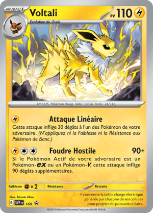 Carte Promo SV 169.png
