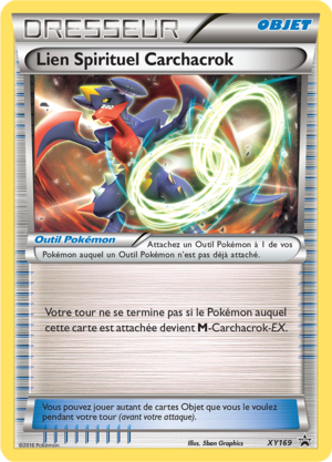 Carte Promo XY XY169.png