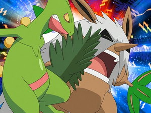 Jungko Écras'Face.png