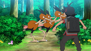 LV135 - Dodrio.png