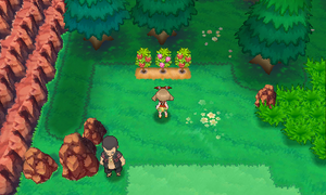 Route 112 Baie Kika & Baie Framby ROSA.png
