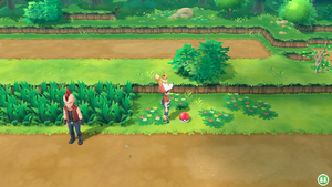 Route 15 Hyper Ball LGPE.png