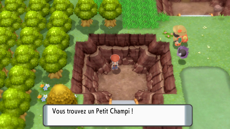Fichier:Route 209 Petit Champi DEPS.png