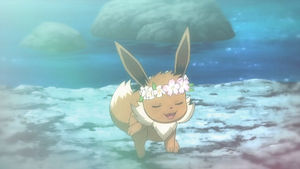 XY090 - Évoli (Flash-back).png