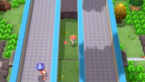 Route 206 Super Repousse DEPS.png