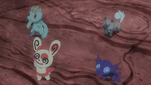 SL015 - Machoc, Spinda et Ténéfix.png