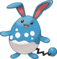 Azumarill - 0184