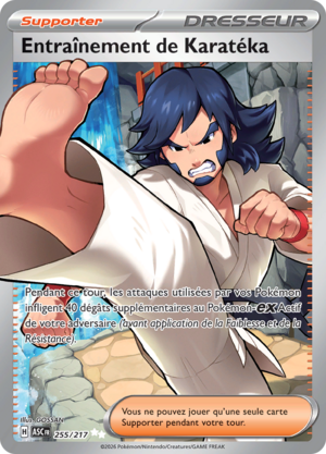 Carte Méga-Évolution Héros Transcendants 255.png