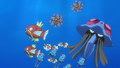 Magicarpe, Tentacool, Poissirène, Staross et Tentacruel (sauvages)