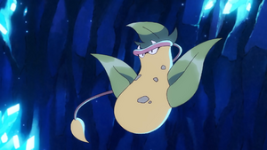 PE08 - Empiflor.png
