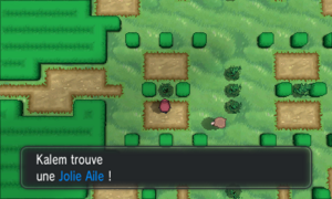 Palais Chaydeuvre Jolie Aile XY.png