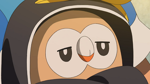SL138 - Brindibou de Sacha.png