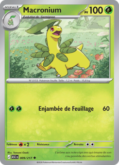 Macronium (Méga-Évolution Héros Transcendants 009)