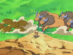 DP140 - Sablaireau et Tauros.png