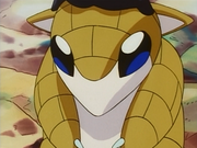 Sabelette(du Laboratoire Pokémon du Professeur Chen)