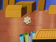 Togepi(d'Ondine)