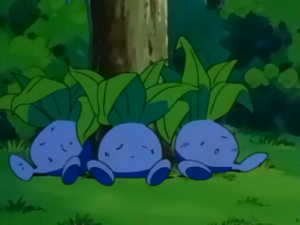 EP239 - Mystherbe de Steeve.png