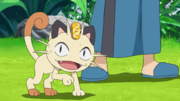 Miaouss(Team Rocket)