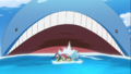 Wailord (sauvage)