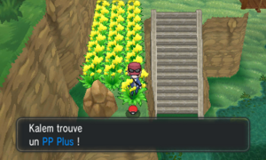 Route 19 PP Plus XY.png