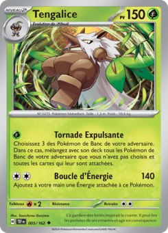 Tengalice (Écarlate et Violet Forces Temporelles 005)