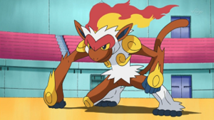 DP179 - Simiabraz de Sacha.png