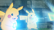Pikachu(sauvages)
