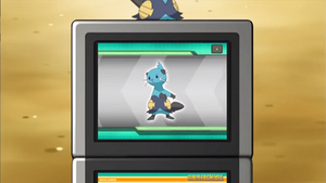 NB004 - Mateloutre Pokédex.png