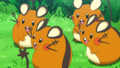 Dedenne (sauvages)