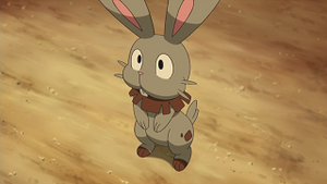 XY009 - Sapereau de Lem.png