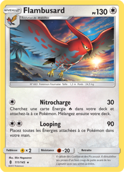 Flambusard (Soleil et Lune Gardiens Ascendants 111)