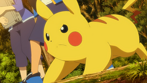 LV019 - Pikachu de Sacha.png