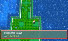 Route 110 Total Soin ROSA.png