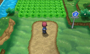 Pokémons sauvages 300px-Route_2_XY