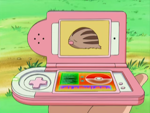 DP063 - Marcacrin Pokédex.png