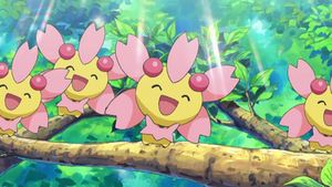 DP121 - Ceriflor.png