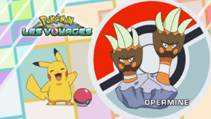 FR - QECP LV025.png