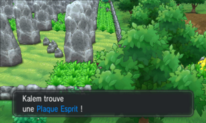 Route 10 Plaque Esprit XY.png