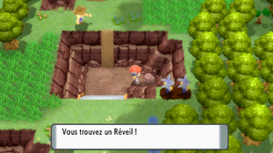 Route 209 Réveil DEPS.png