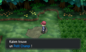Route 20 Petit Champi XY.png