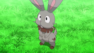 XY033 - Sapereau de Lem.png