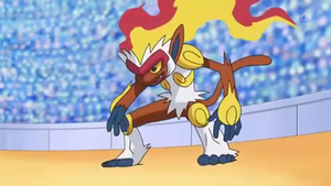 DP187 - Simiabraz de Sacha.png