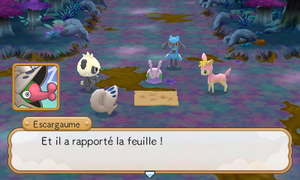 Forêt Kifaipeur (6) PMDM.png