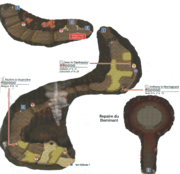 Plan du Parc Volcanique dans Pokémon Ultra-Soleil et Ultra-Lune.