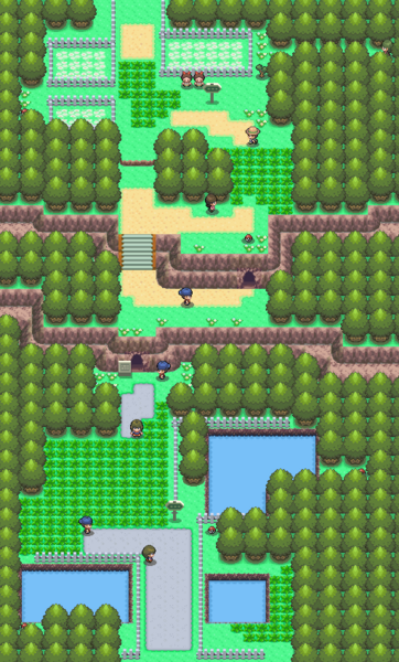 Pokemon Sauvages 362px-Route_204_DP