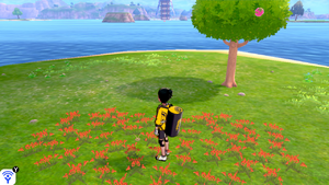 Taupiqueur d'Alola Mer Isol'Îlots 3 EB.png