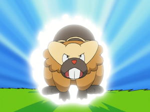 Castorno Bélier.png